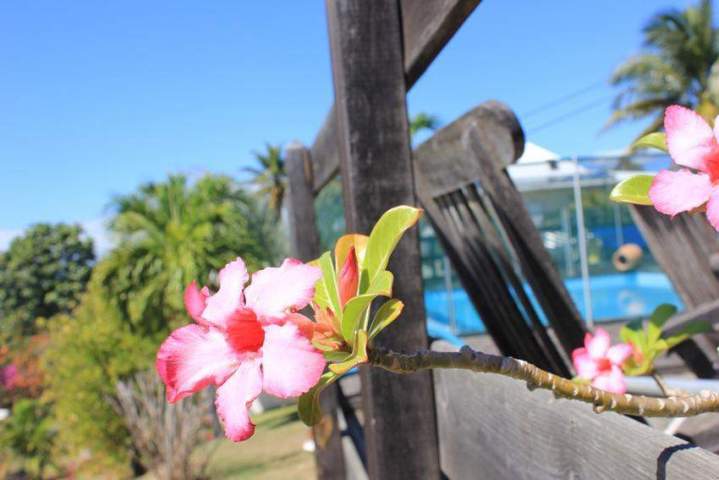 Hébergements touristiques Guadeloupe