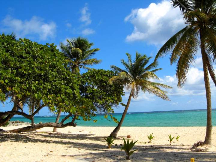 Comment se déroule la remise des clés lors d’une location d’hébergement ?, Guadeloupe